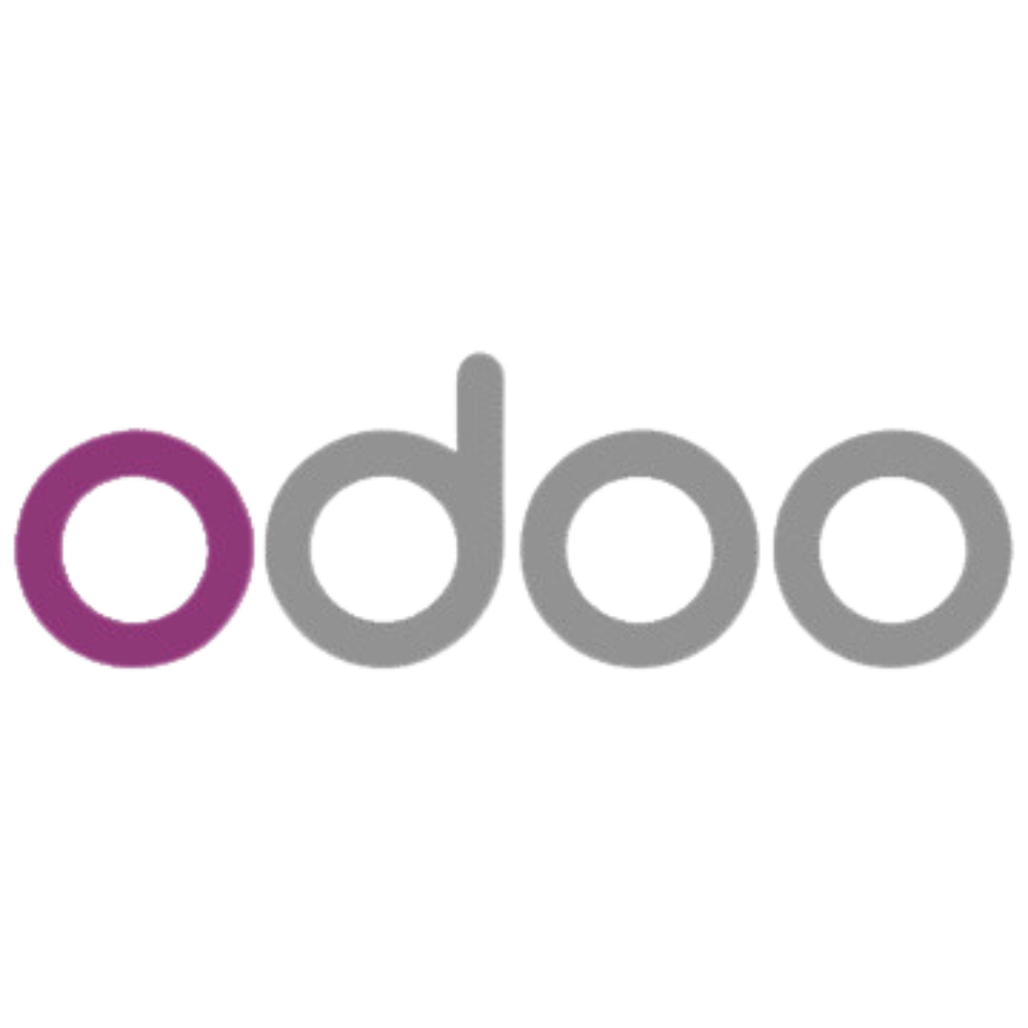 Daysum odoo services